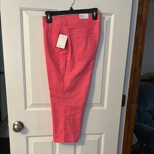 Vibrant Coral Pants